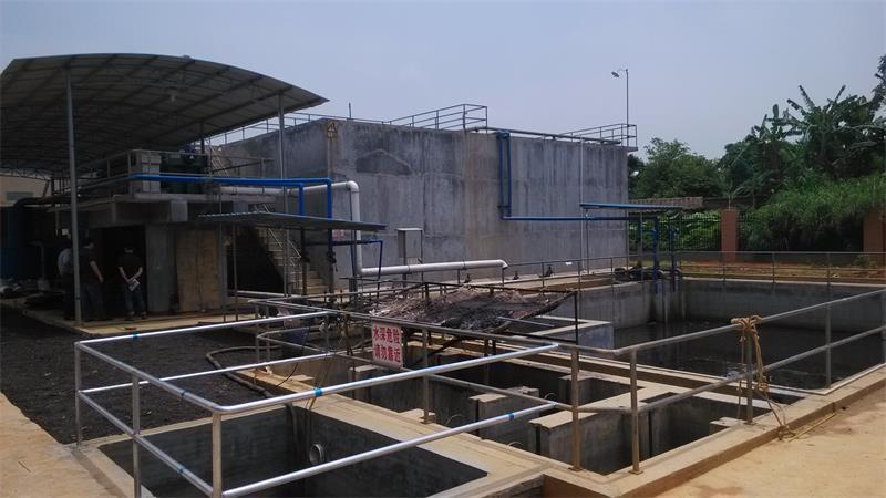 Ƥ����ˮ��������250t/��