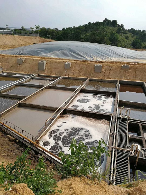 ������ˮ